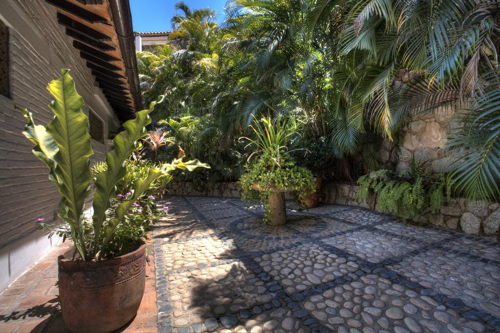 Villa Celeste Puerto Vallarta Ngoại thất bức ảnh